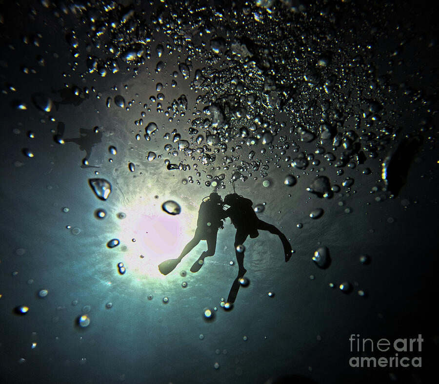 Silhouette Divers Photograph by Kip Vidrine
