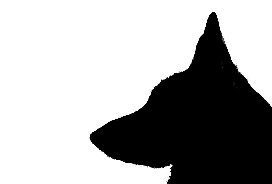 Silhouette of a German Shepherd Photograph by Stamp City