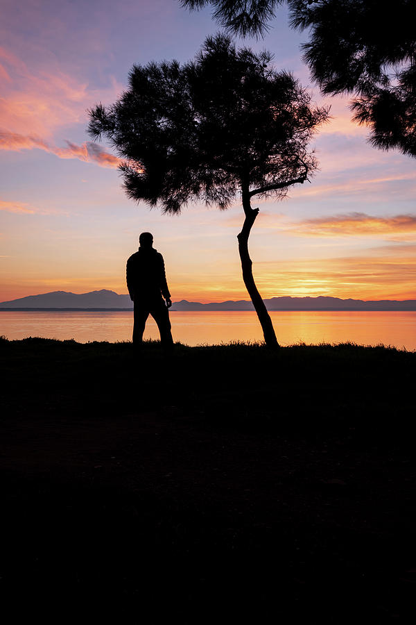 Silhouette of a Lone Tree and a Man Overlooking the Sea at Sunset Photograph by Alexios Ntounas