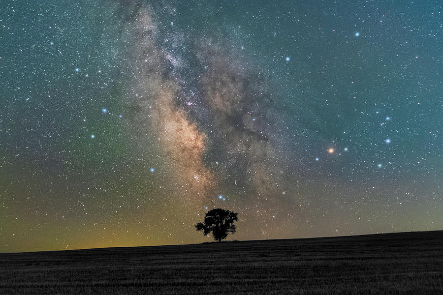 Silhouette of a Lone Tree under the Milky Way Photograph by Alexios Ntounas