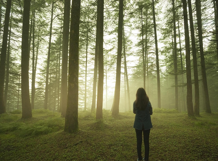 Silhouette of girl standing alone in pine forest at twilight. Photograph by Gawrav Sinha