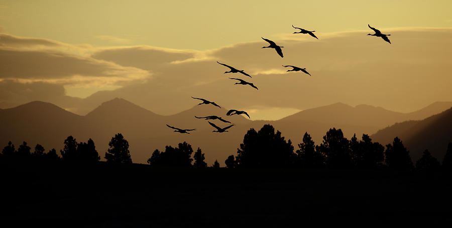Silhouette Sandhills Photograph by Whispering Peaks Photography