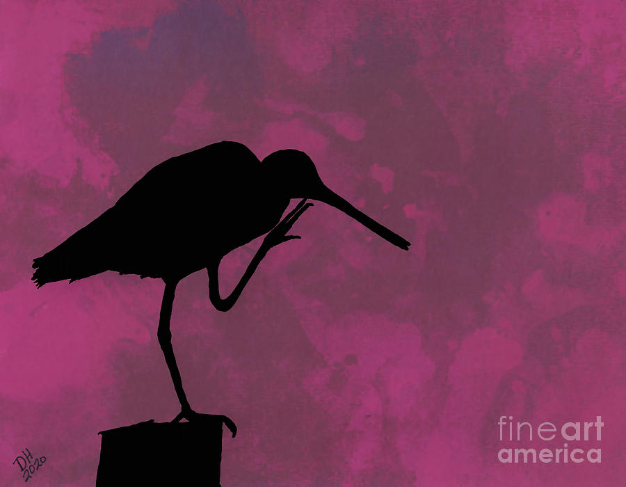 Silhouette Sandpiper Drawing by D Hackett