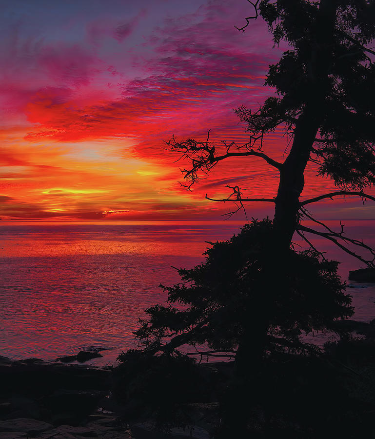 Silhouette Sunrise - Ocean Drive Photograph by Stephen Vecchiotti