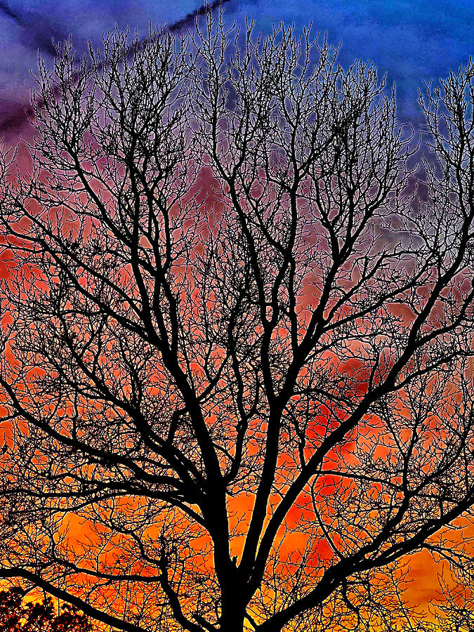 Silhouette sunset Photograph by Stephen Dorton Silhouette sunset Photograph by Stephen Dorton