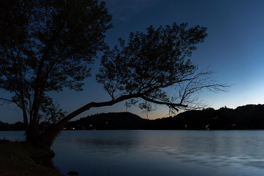 Silhouetted Tree over a Lake Photograph by John Twynam