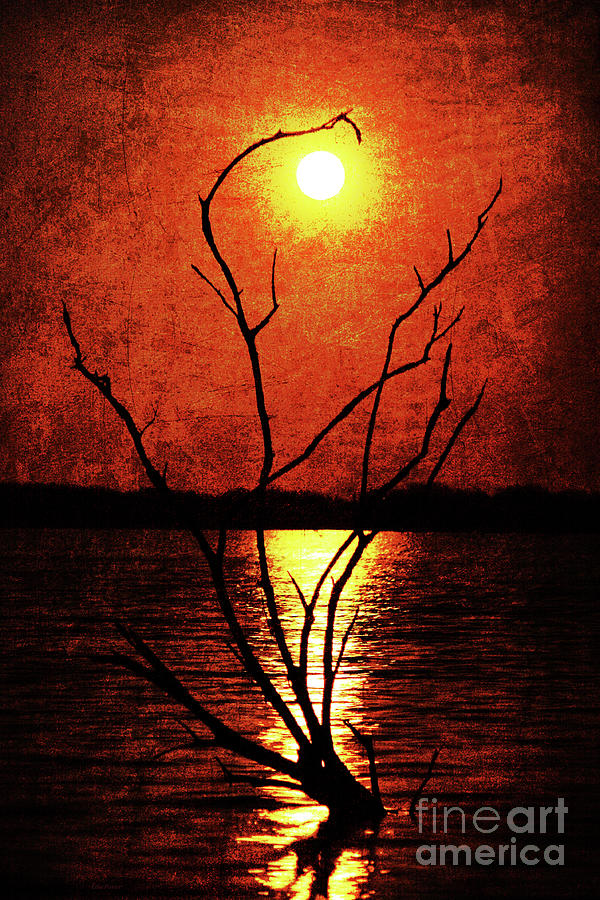 Moon Photograph - Silhouettes and Reflections by Lisa Porier
