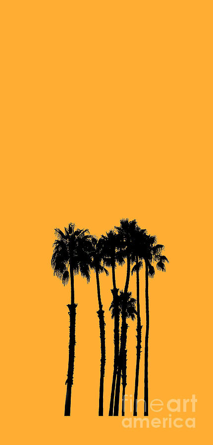 Silhouettes-of-the-Palm-trees Photograph by Fei A