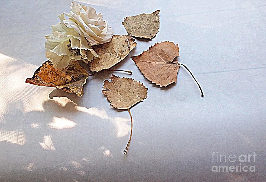 Silk Flowers and Leaves  Photograph by Nancy Kane Chapman