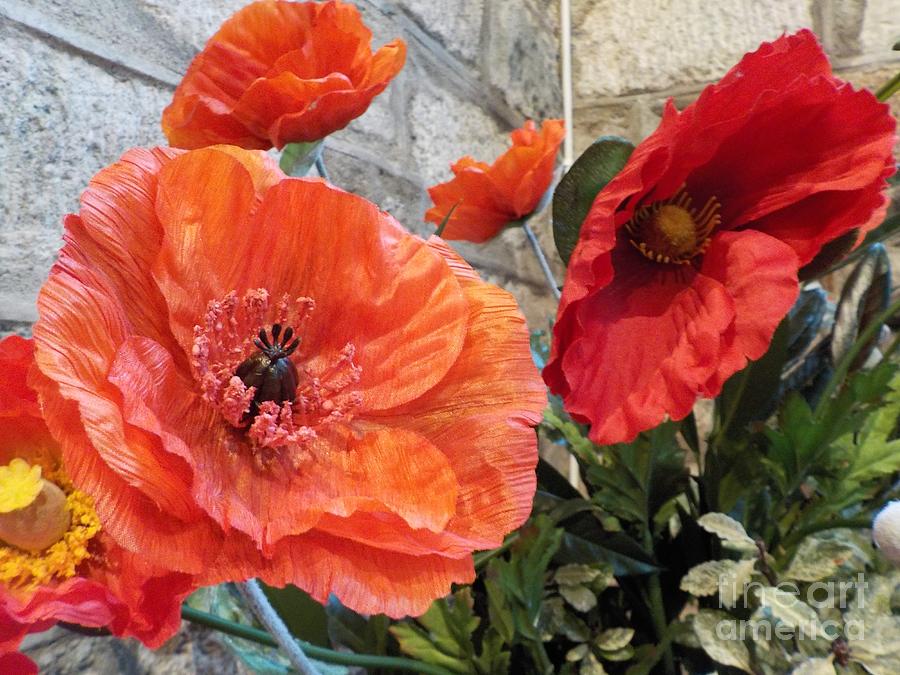 silk remembrance poppy silk remembrance poppy