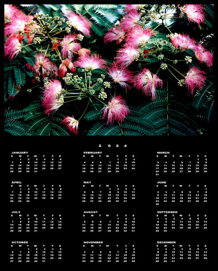 Silk Tree 2024 Calendar Single Page Photograph by Mike McBrayer Fine