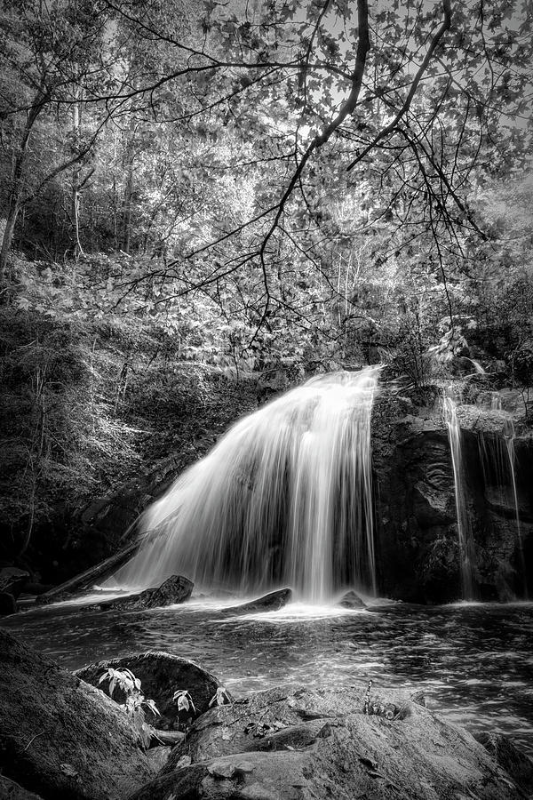 Silky Cascades at Turtletown Creek Falls in Black and White Photograph by Debra and Dave Vanderlaan