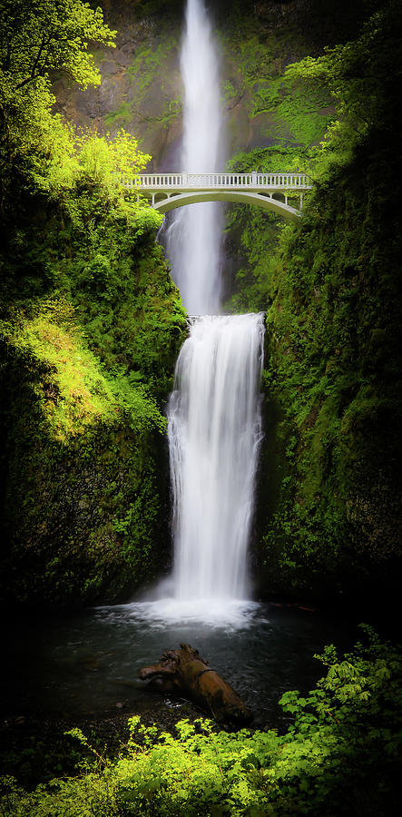 Silky Multnomah Falls Photograph by Athena Mckinzie