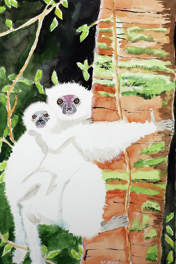 Animal Painting - Silky Sifaka Duo by Wynn Derr