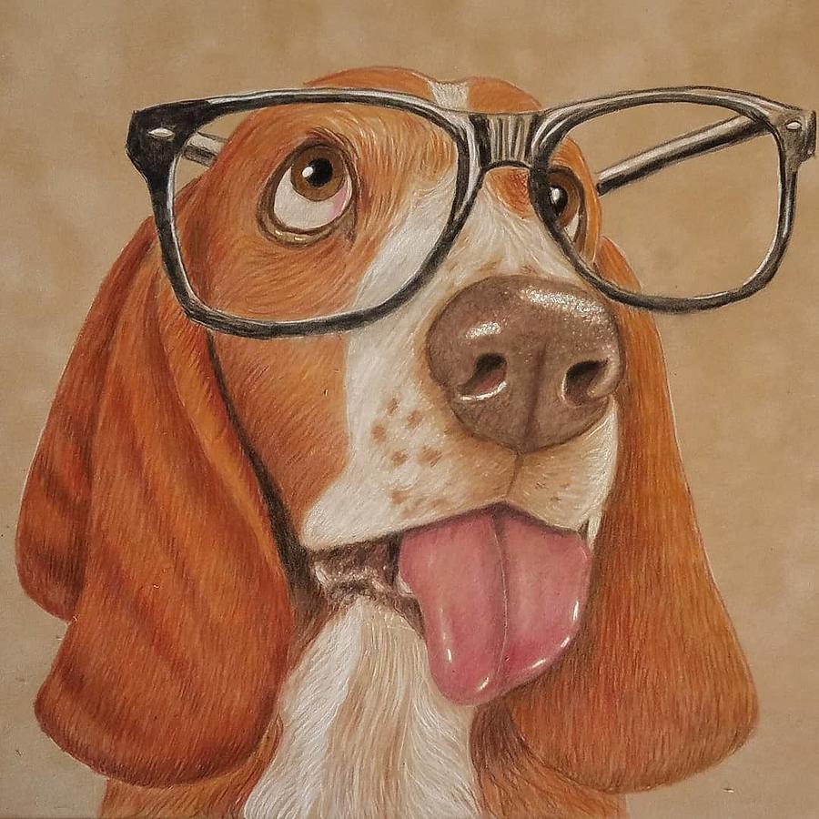 Silly Basset Hound Drawing by Lorraine Foster