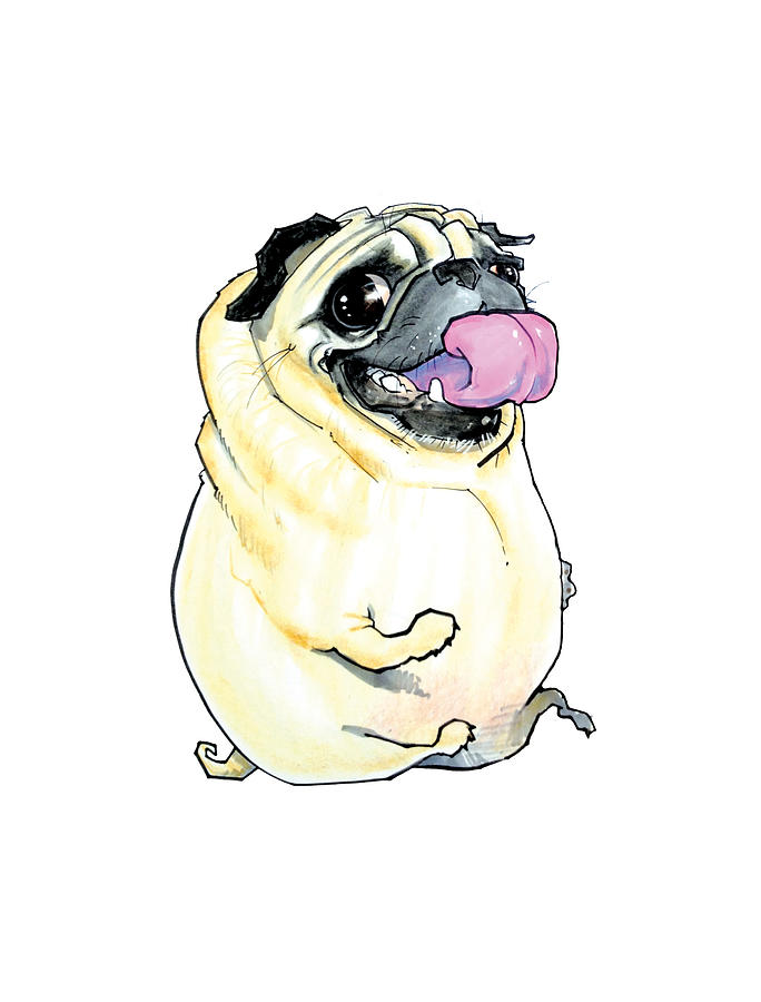 Pug Drawing - Silly Pug by John LaFree