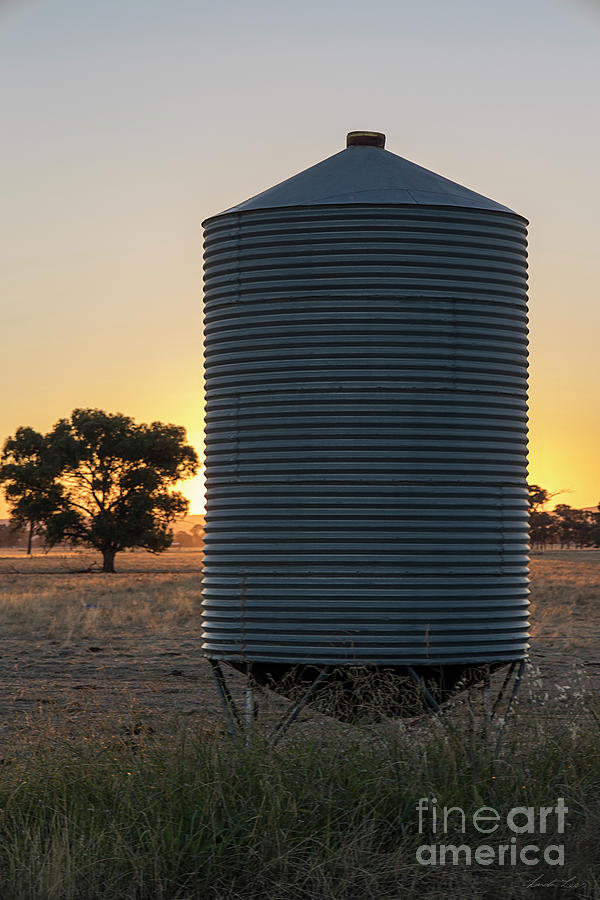Silo at Sunset Photograph by Linda Lees