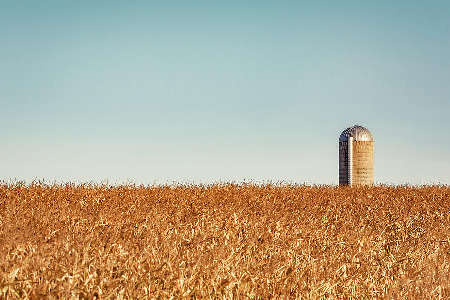 Silo Beyond Corn Photograph by Todd Klassy