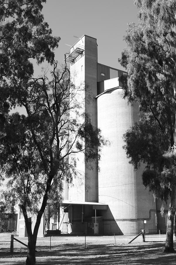 Silo Beyond Trees Photograph by Lee Stickels