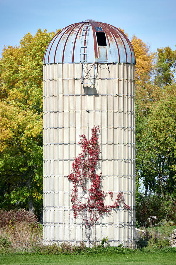Silo with Vines Photograph by Paul Freidlund