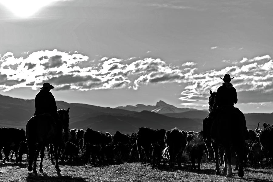 Silohuette Cowboys   Photograph by Julieta Belmont