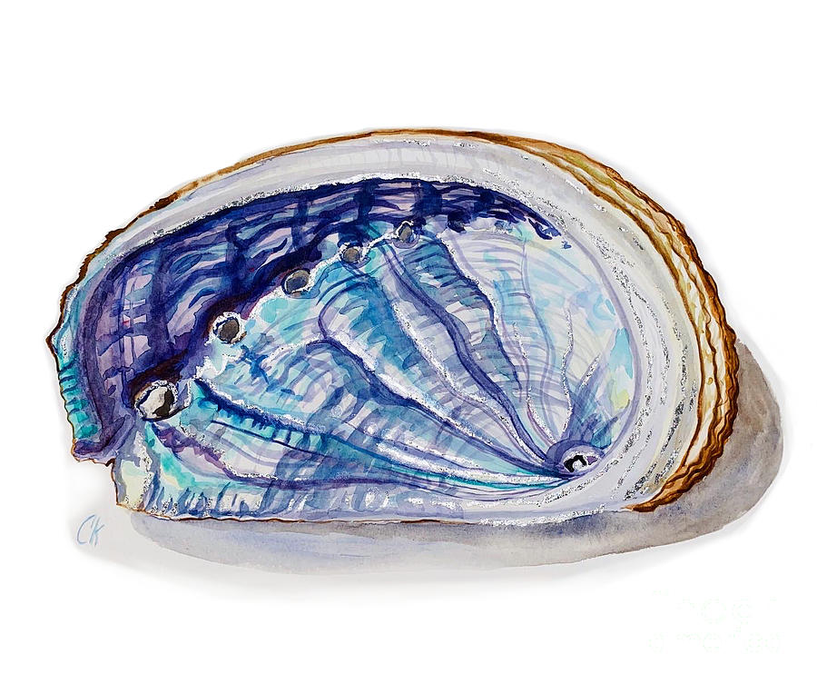 Silver Abalone Painting by Cecelia LeeKefalas Fine Art America