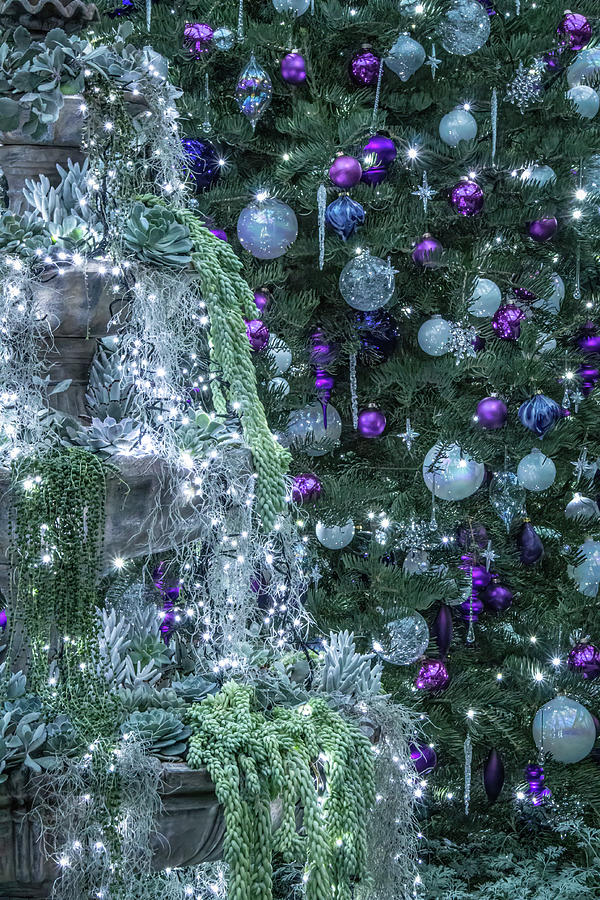 Silver and Purple Christmas Photograph by Kristia Adams