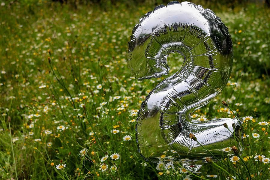 Silver balloon on flower field Photograph by Jorge Sanntos / FOAP
