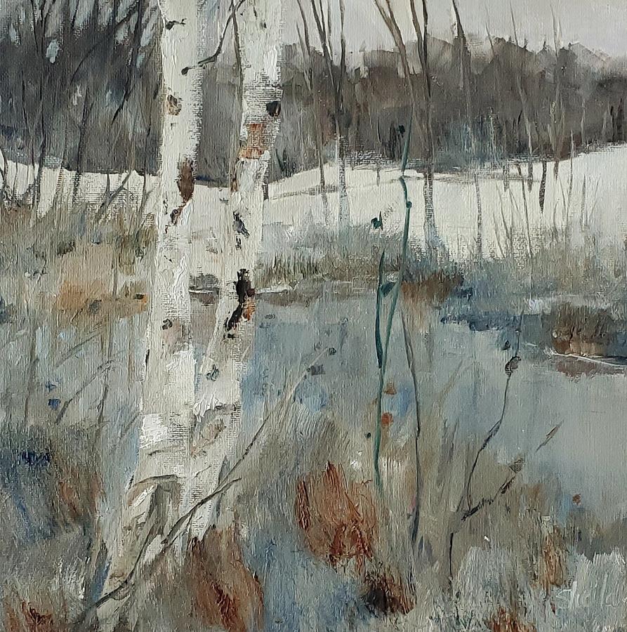 Silver Birch Painting by Sheila Romard