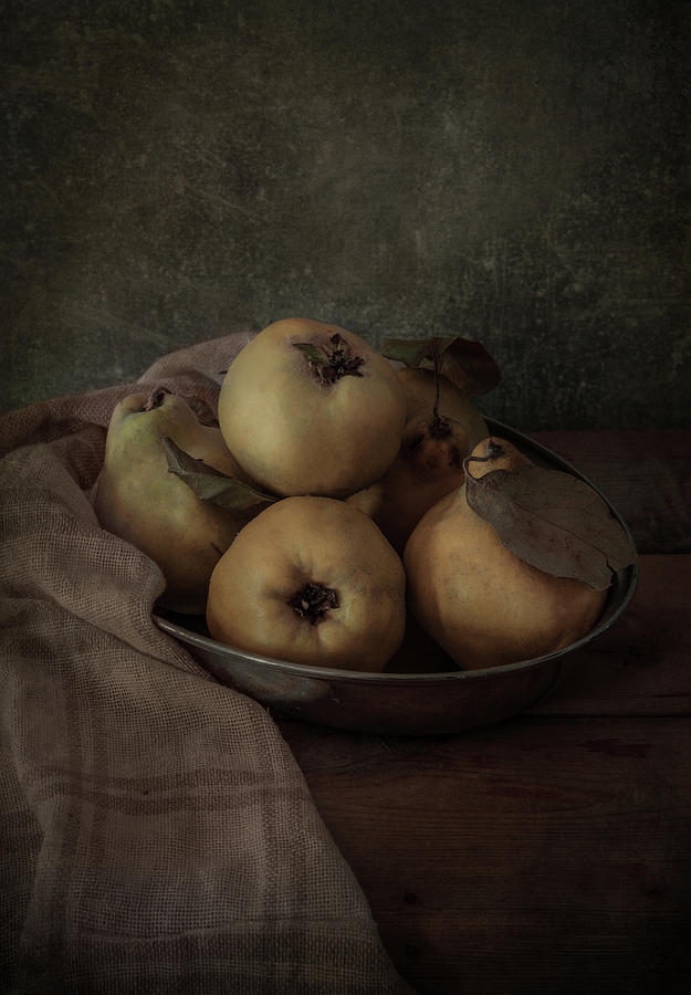 Silver bowl with fresh quinces Photograph by Jaroslaw Blaminsky