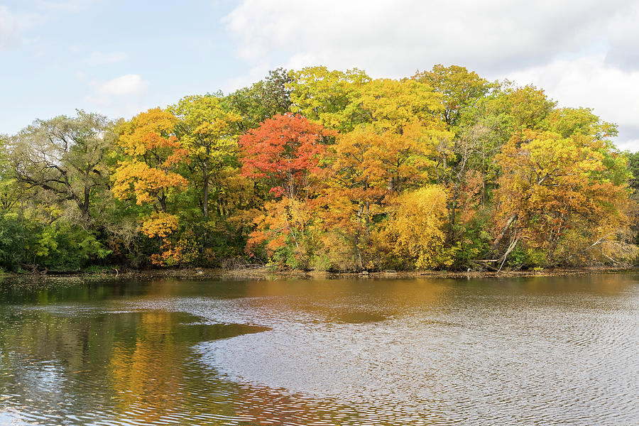 Silver Breeze - Autumnal Lakeside at Grenadier Pond in High Park Toronto  Photograph by Georgia Mizuleva