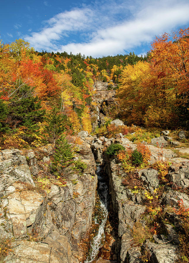 Silver Cascade Crawford Notch In Fall Photograph by Dan Sproul