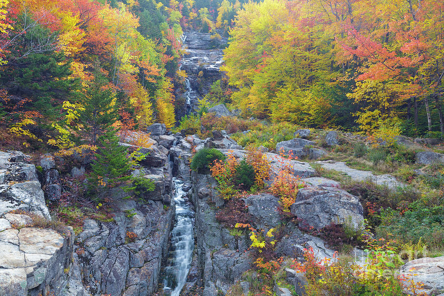 Silver Cascade - Crawford Notch, New Hampshire  Photograph by Erin Paul Donovan