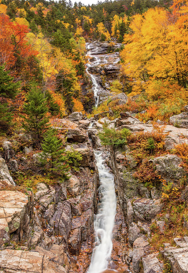 Autumn Colors Photograph - Silver Cascade In Autumn by Dan Sproul