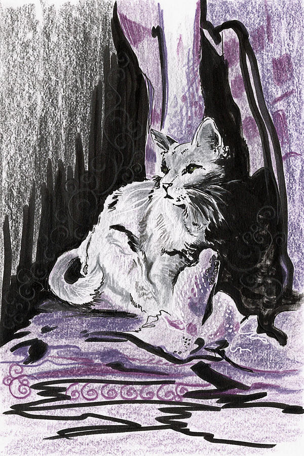 Silver Cat Portrait Drawing