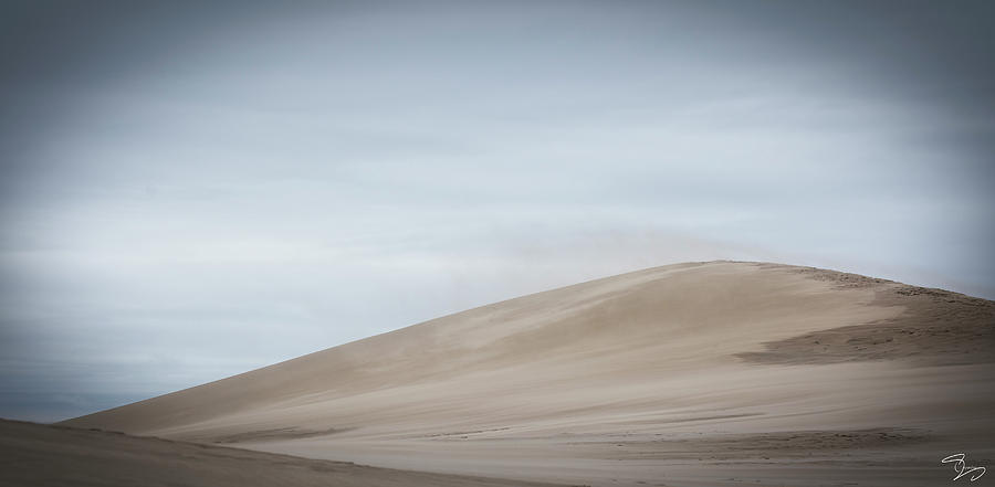 Silver Dune Photograph by Evie Carrier