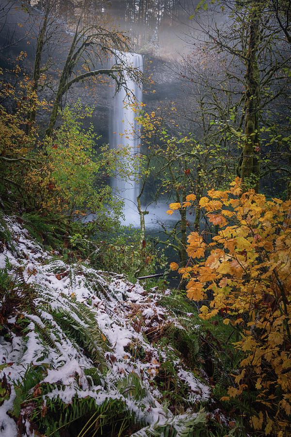 Silver Falls 1 Photograph by Ryan Weddle