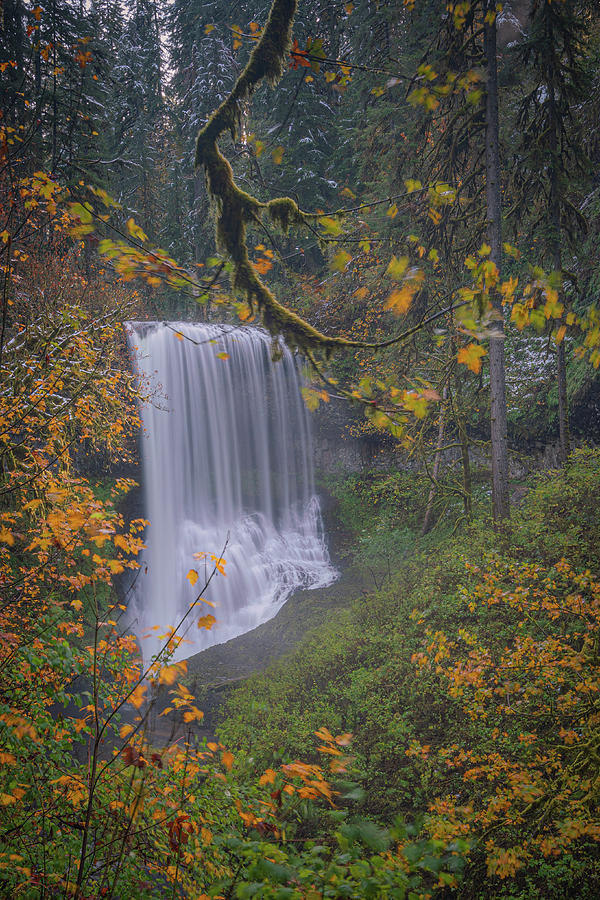 Silver Falls 10 Photograph by Ryan Weddle