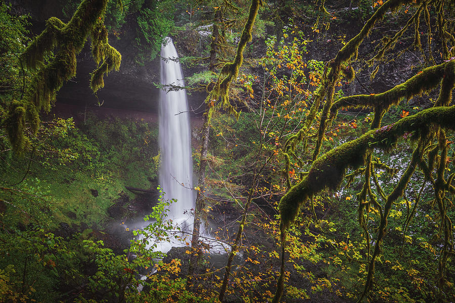 SIlver Falls 12 Photograph by Ryan Weddle