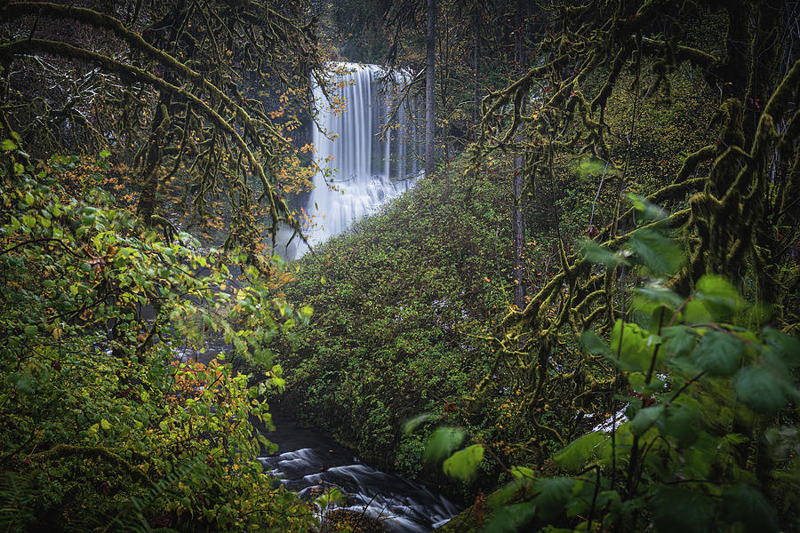 Silver Falls 3 Photograph by Ryan Weddle