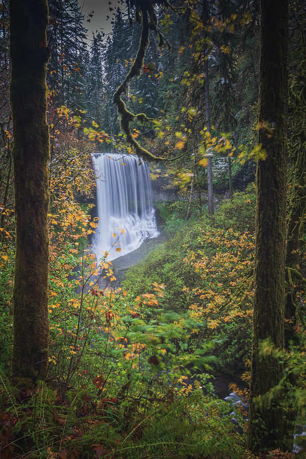 Silver Falls 4 Photograph by Ryan Weddle