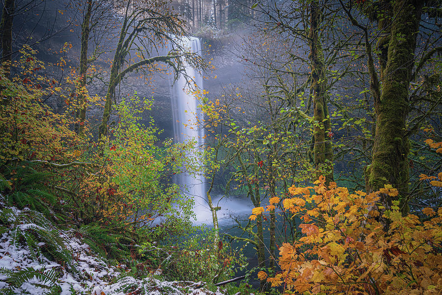 Silver Falls 8 Photograph by Ryan Weddle