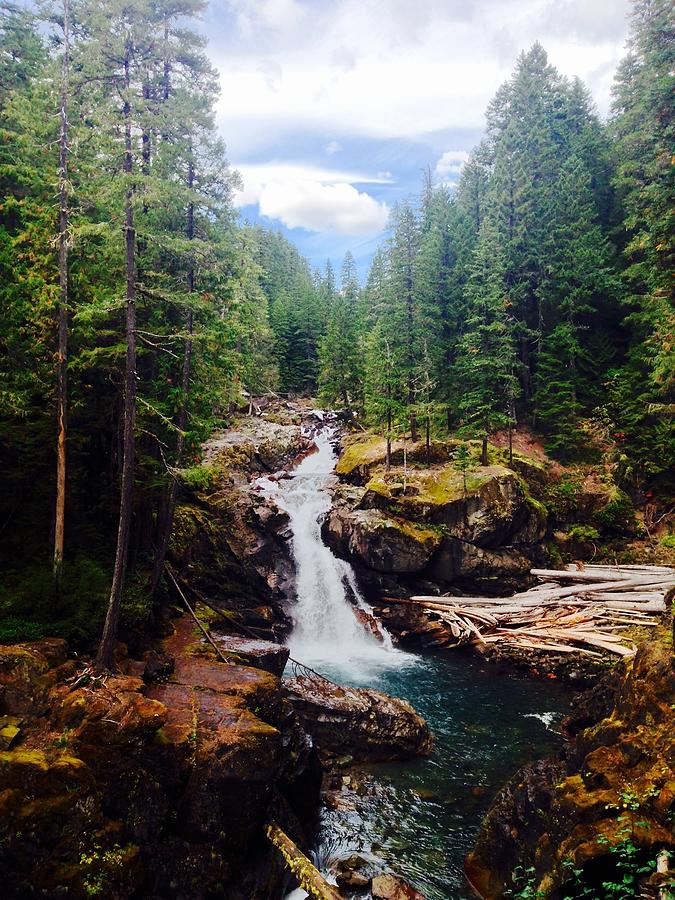 Silver Falls, Mt Rainier National Park WA Photograph by Corey Brown ...