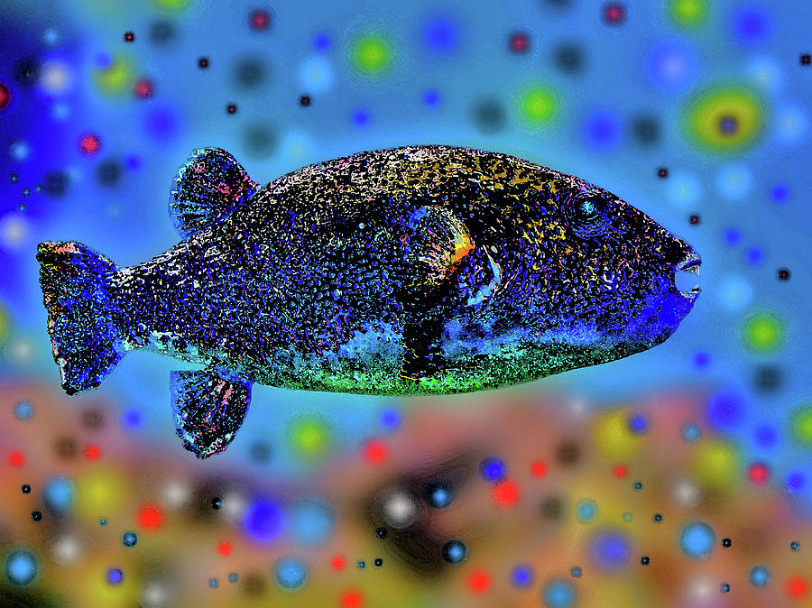 Silver Fish. Digital Art