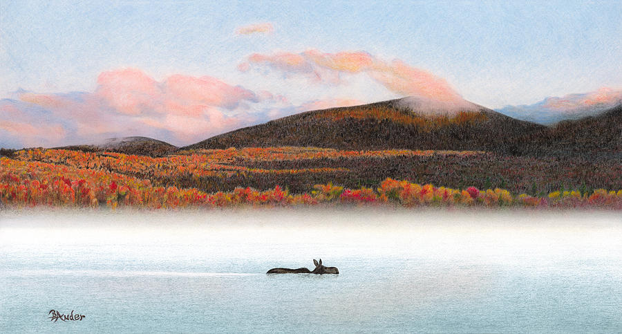 Moose Drawing - Silver Lake Crossing by Brent Ander
