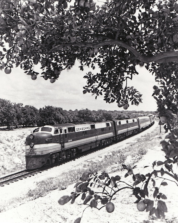Silver Meteor in Central Florida Photograph by John Black