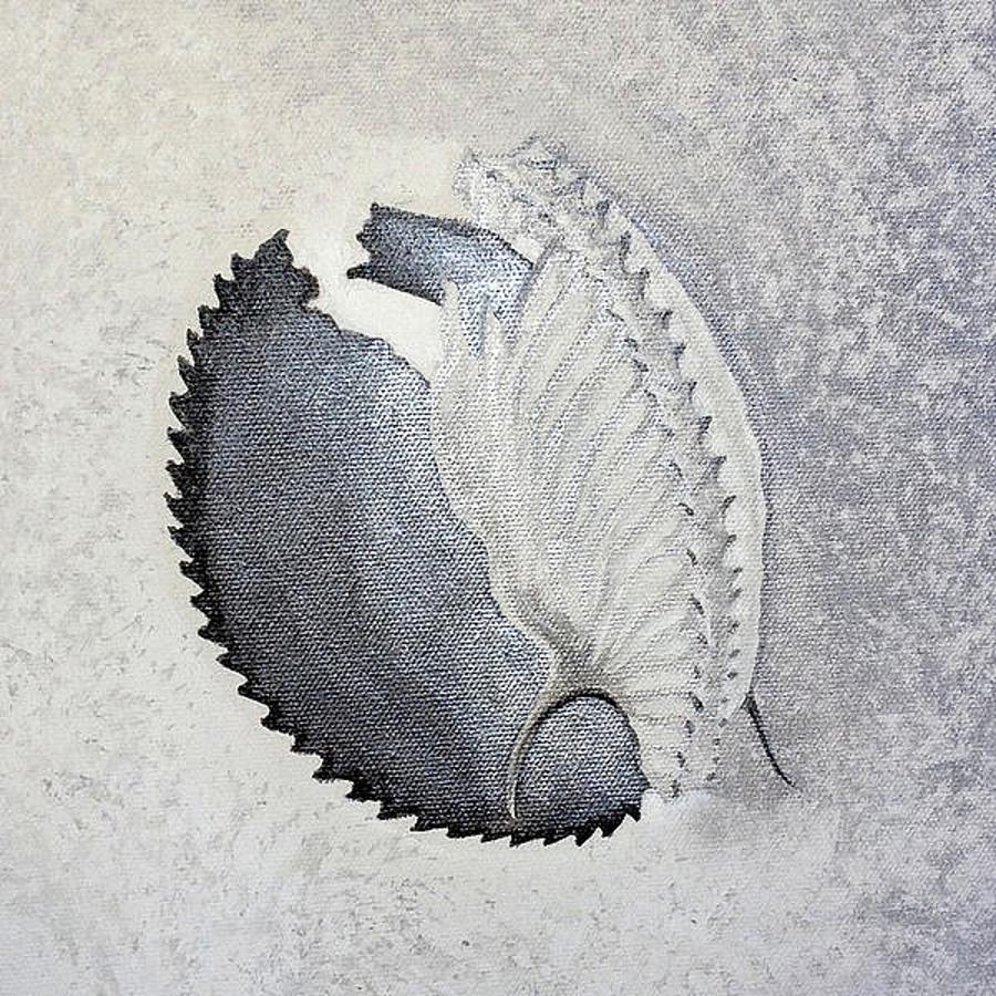 Silver Nautilus Painting by Ashley Kujan
