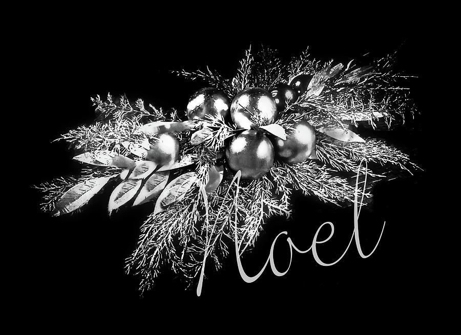 Silver Noel Photograph by Diana Angstadt