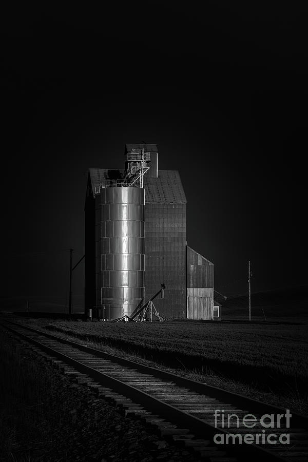 Black And White Photograph - Silver Silo by Doug Sturgess