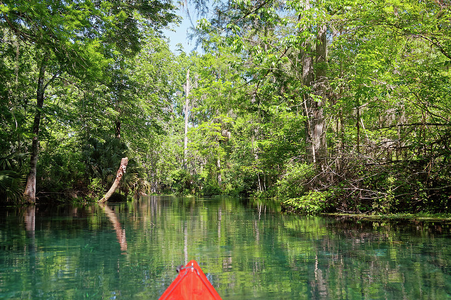 Silver Springs Kayaking Photograph by Sally Weigand - Fine Art America